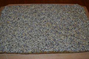 Desert Craciunita (prajitura cu mac si nuca de cocos)