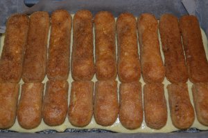 Desert Craciunita (prajitura cu mac si nuca de cocos)