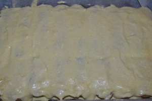Desert Craciunita (prajitura cu mac si nuca de cocos)