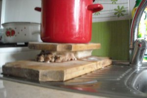 Slaninuta fiarta in zeama de varza, cu usturoi si boia