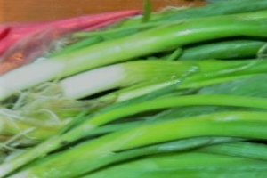 Salau cu legume mexicane si ierburi italienesti