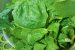 Ciorba de salata verde si spanac-7