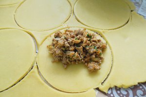 Empanadas cu carne amestec si ciuperci