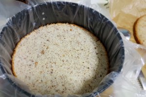 Desert tort Raffaello