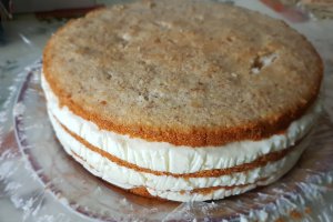 Desert tort Raffaello