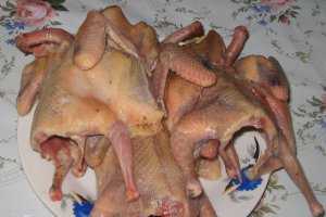Tocanita de rosii cu porumbei la ceaun