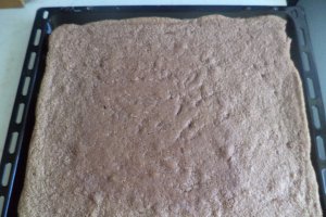 Desert tort cu crema de iaurt si fructe ( din compot )