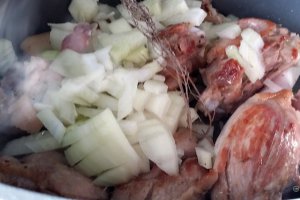 Mancarica de rata cu salata pimentata de rosii