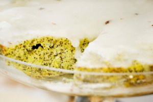 Tort de lamaie