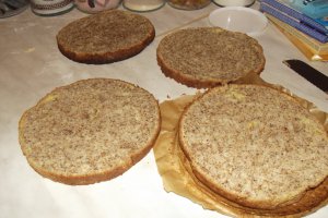 Desert tort Alin
