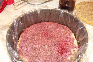 Desert tort Alin