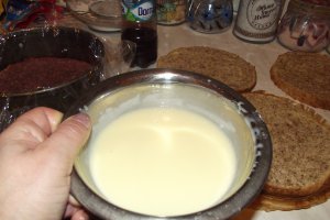 Desert tort Alin