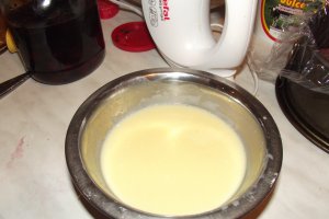 Desert tort Alin