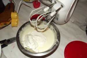 Desert tort Alin