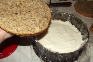 Desert tort Alin