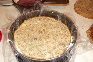 Desert tort Alin