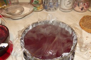 Desert tort Alin