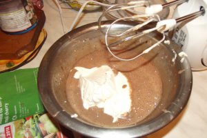 Desert tort Alin