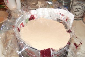 Desert tort Alin