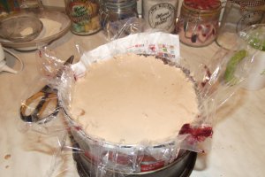 Desert tort Alin