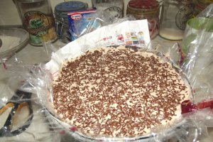 Desert tort Alin