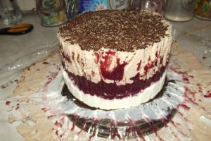 Desert tort Alin