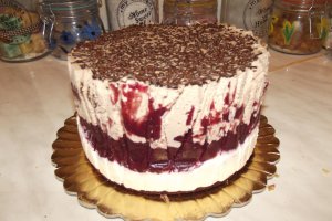 Desert tort Alin