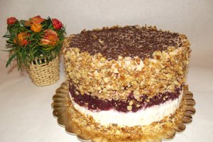 Desert tort Alin