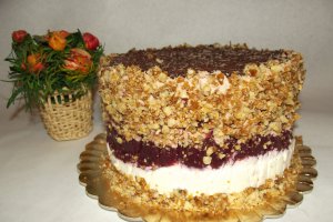 Desert tort Alin