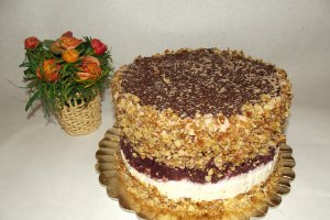Desert tort Alin