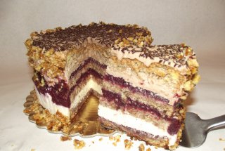 Desert tort Alin
