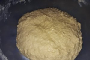 Desert gogosi