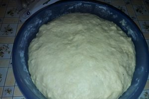 Desert gogosi