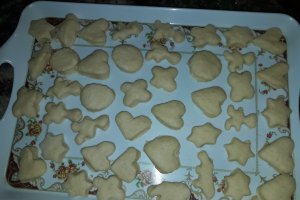 Desert gogosi