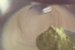 Desert flan cu mere si ceai verde Matcha-2