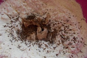 Painite de post, cu chimen