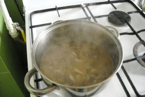 Pulpe de pui la gratar, cu ciuperci si smantana