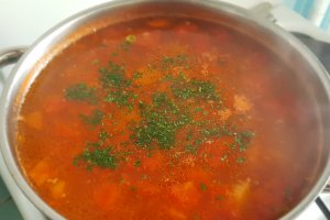 Ciorba de porc cu legume