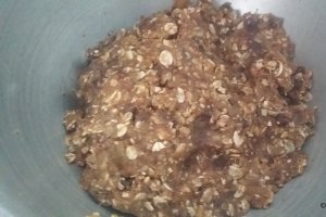 Desert biscuiti cu fulgi de ovaz si mango uscat