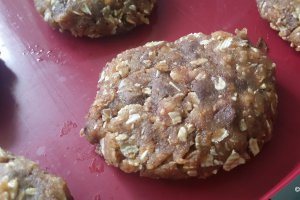 Desert biscuiti cu fulgi de ovaz si mango uscat