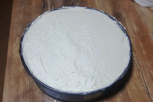 Desert tort Raffaello