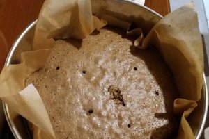 Desert Musuroi de furnici cu oreo