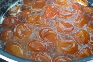 Fruct Kumkuat confiat (2)