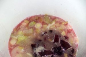Supa crema de andive