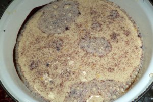 Desert crema de zahar ars cu piersici si kiwi