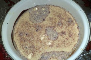 Desert crema de zahar ars cu piersici si kiwi