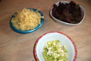 Aperitiv chec Picnic