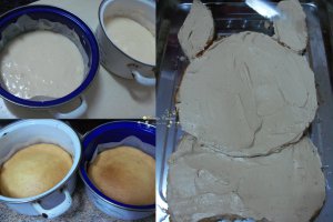 Desert tort Iepuras