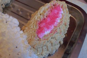 Desert tort Iepuras