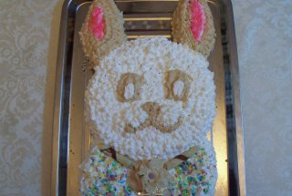 Desert tort Iepuras